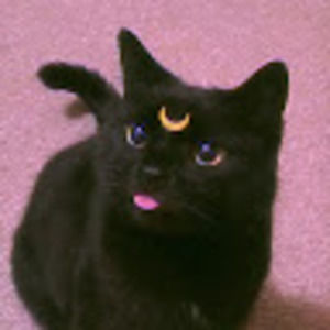 Meet your Posher, Zee